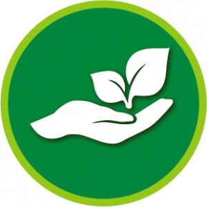 Hand Holding Leaf